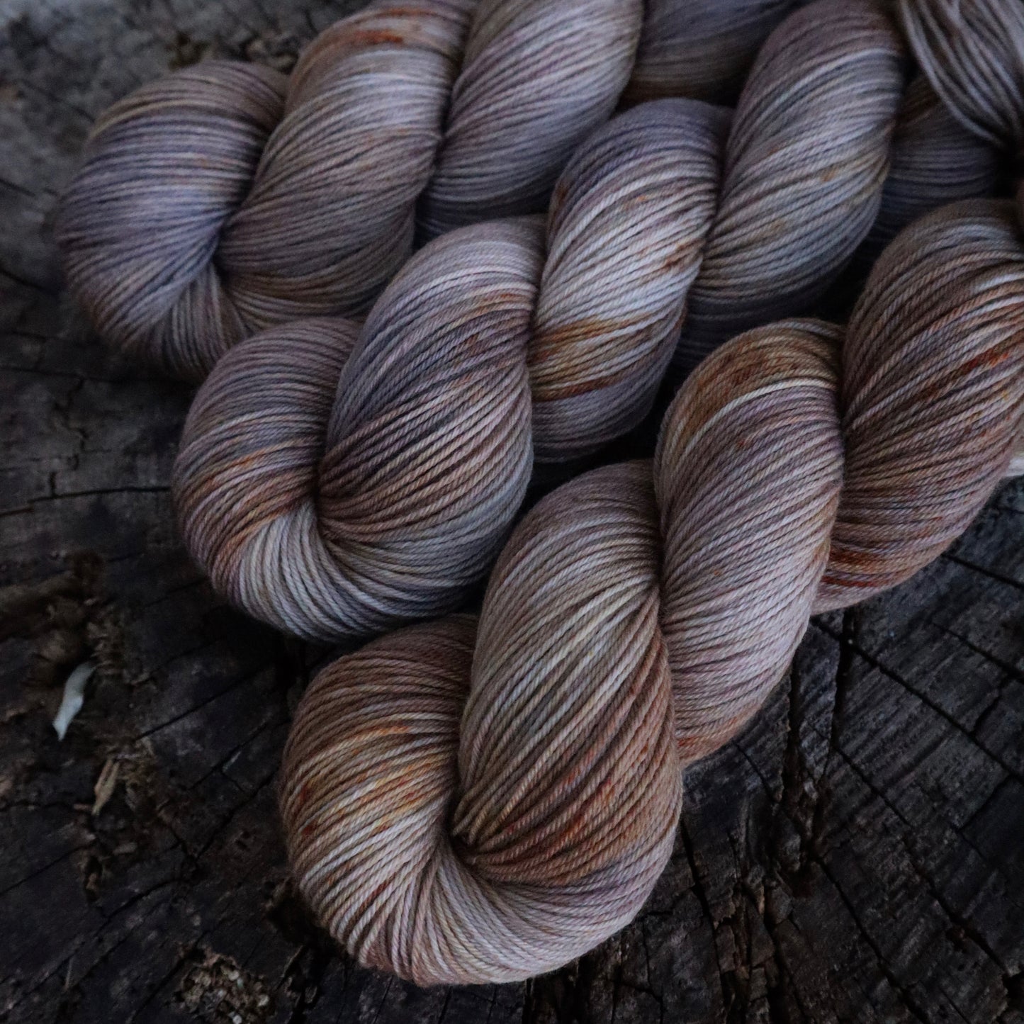 Palomino (Boxelder Organic)
