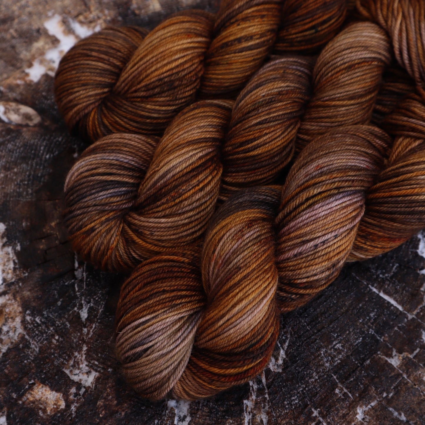 Octoberfest (Bighorn)