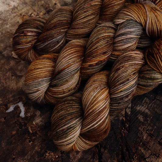 Autumn Forest (Bighorn)