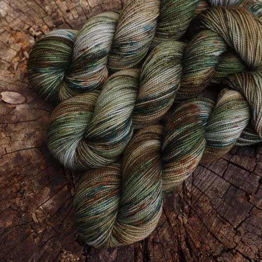 Meadow (Bighorn)