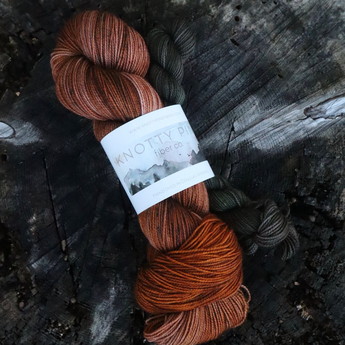 Peach Pumpkin & Black Hawk (Ready to Ship)