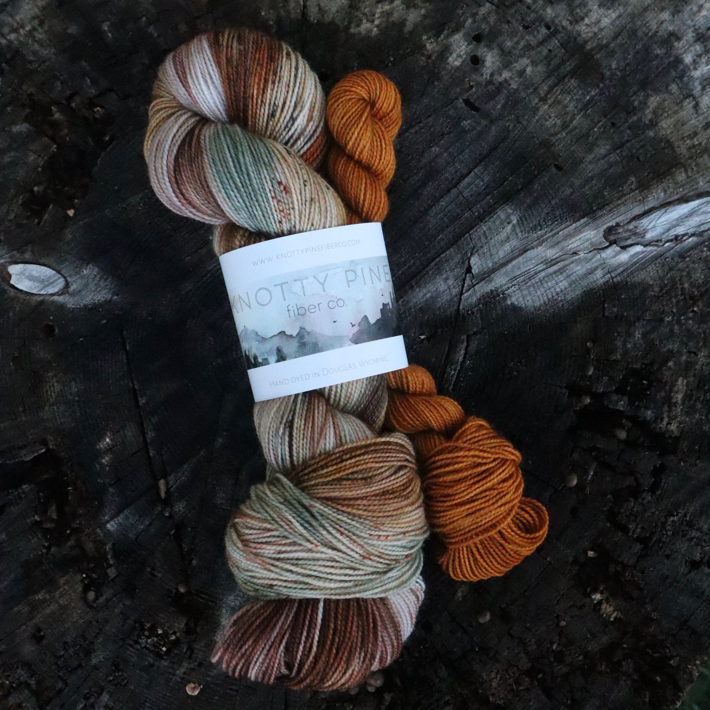 Heirloom Pumpkins Sock Set (Ready to Ship)