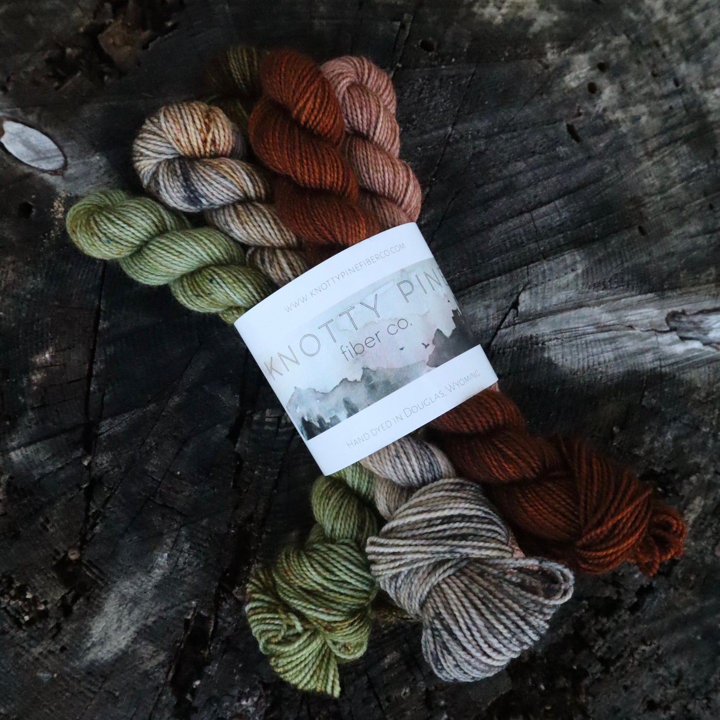 Fall Socks Mini Skein Set (Ready to Ship)