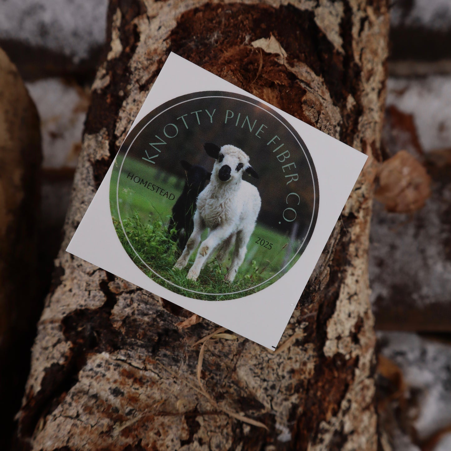 Homestead 2025 Advent Calendar