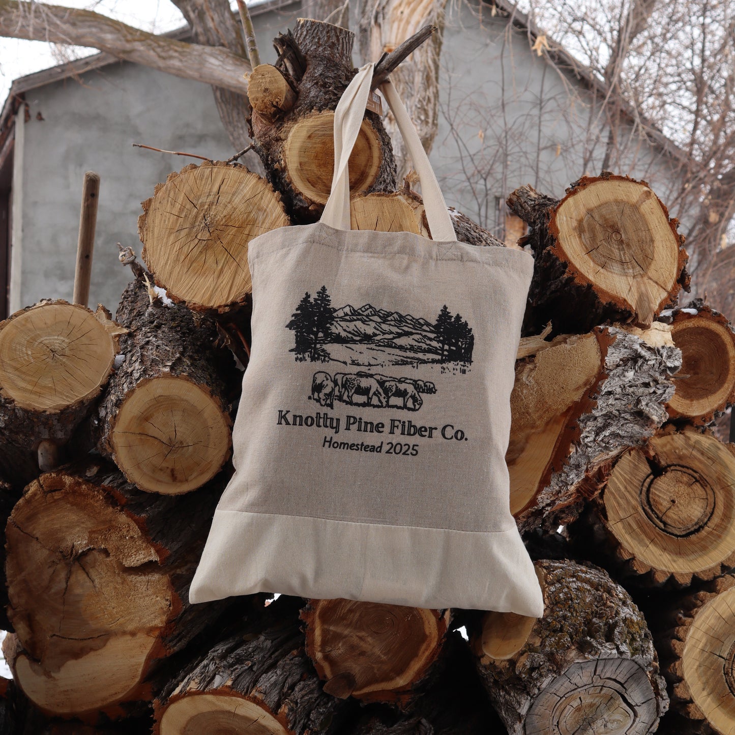 Homestead 2025 Advent Calendar