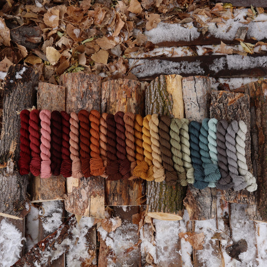 Boxelder Sock (Full Skein Pre-Order)