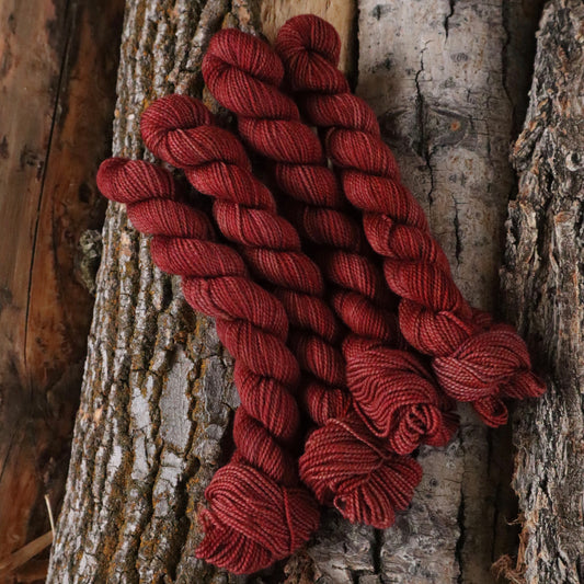 Day 2: Rhubarb Pie (Pre-Order)