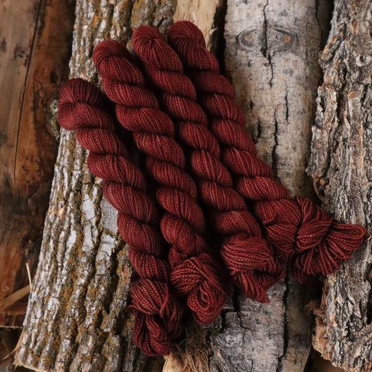 Day 5: Copper Maran (Pre-Order)