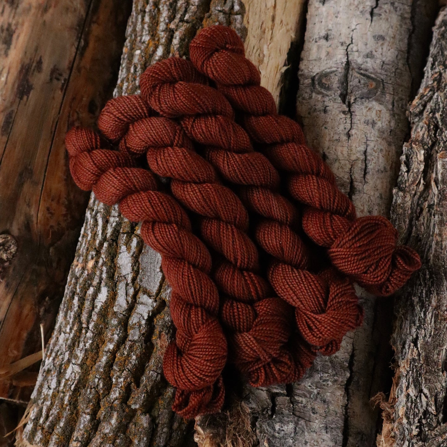 Boxelder Sock (Full Skein Pre-Order)