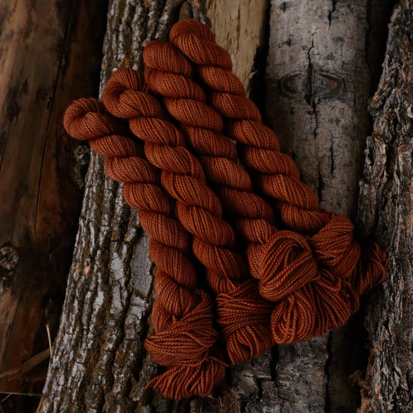 Boxelder Sock (Full Skein Pre-Order)