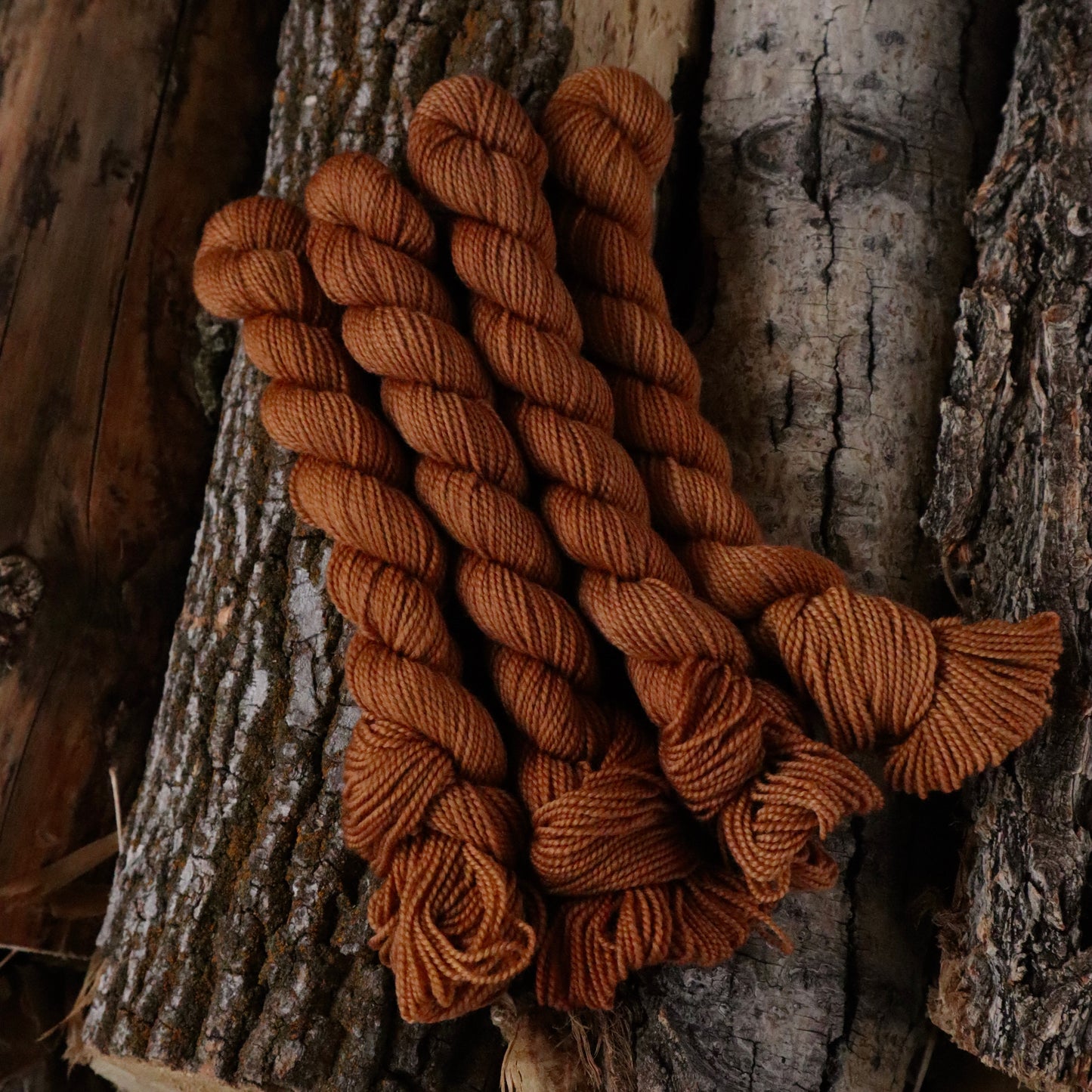 Boxelder Sock (Full Skein Pre-Order)