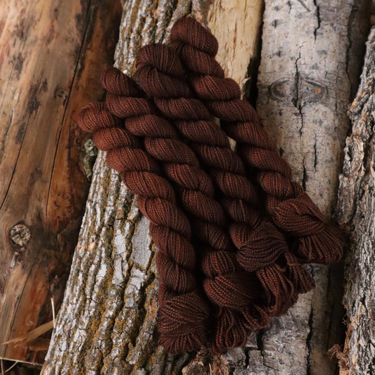 Day 10: Hickory (Pre-Order)