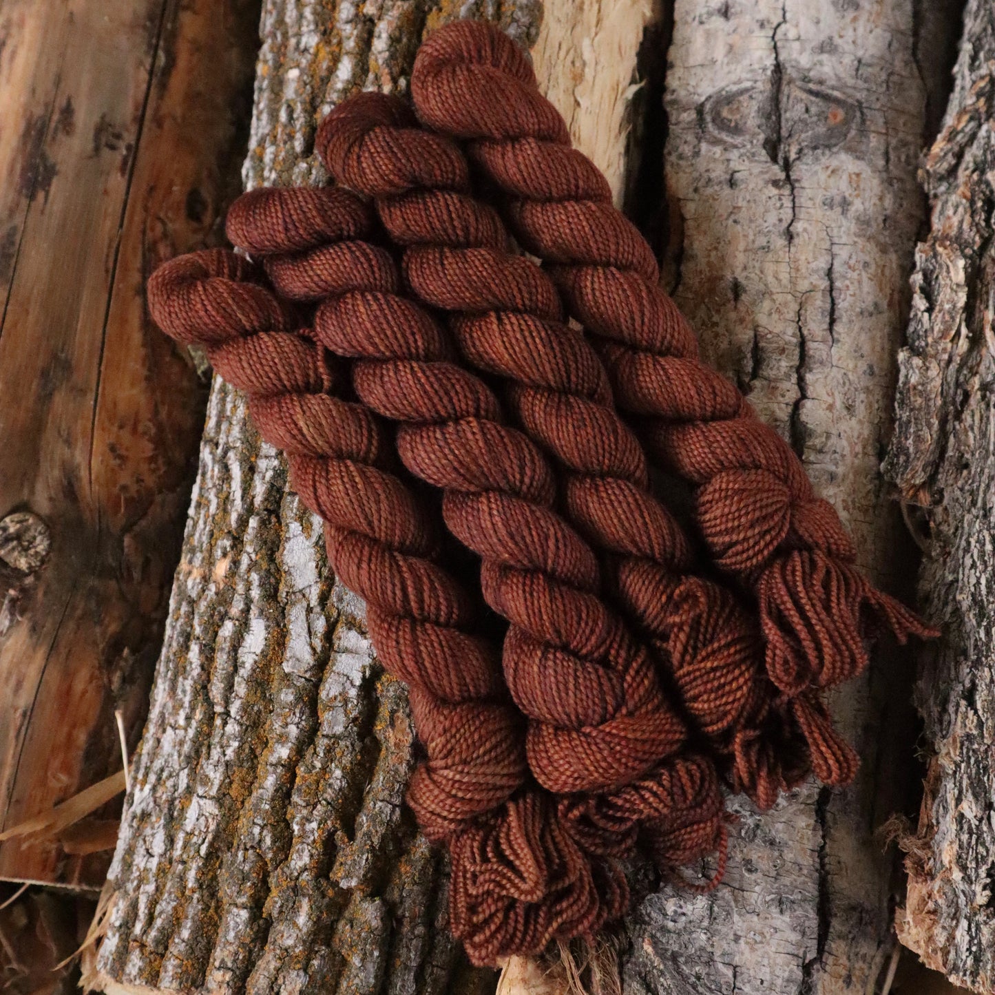 Boxelder Sock (Full Skein Pre-Order)