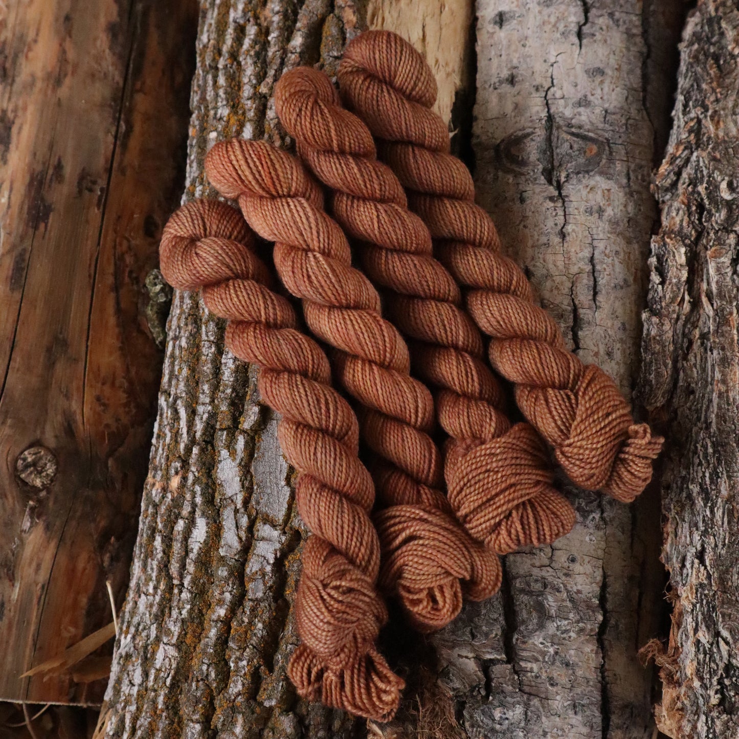 Boxelder Sock (Full Skein Pre-Order)