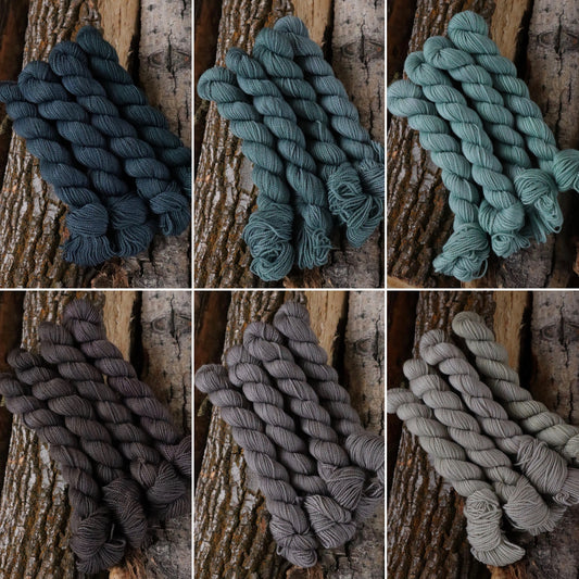 Boxelder Sock (Full Skein Pre-Order) Day 19-24