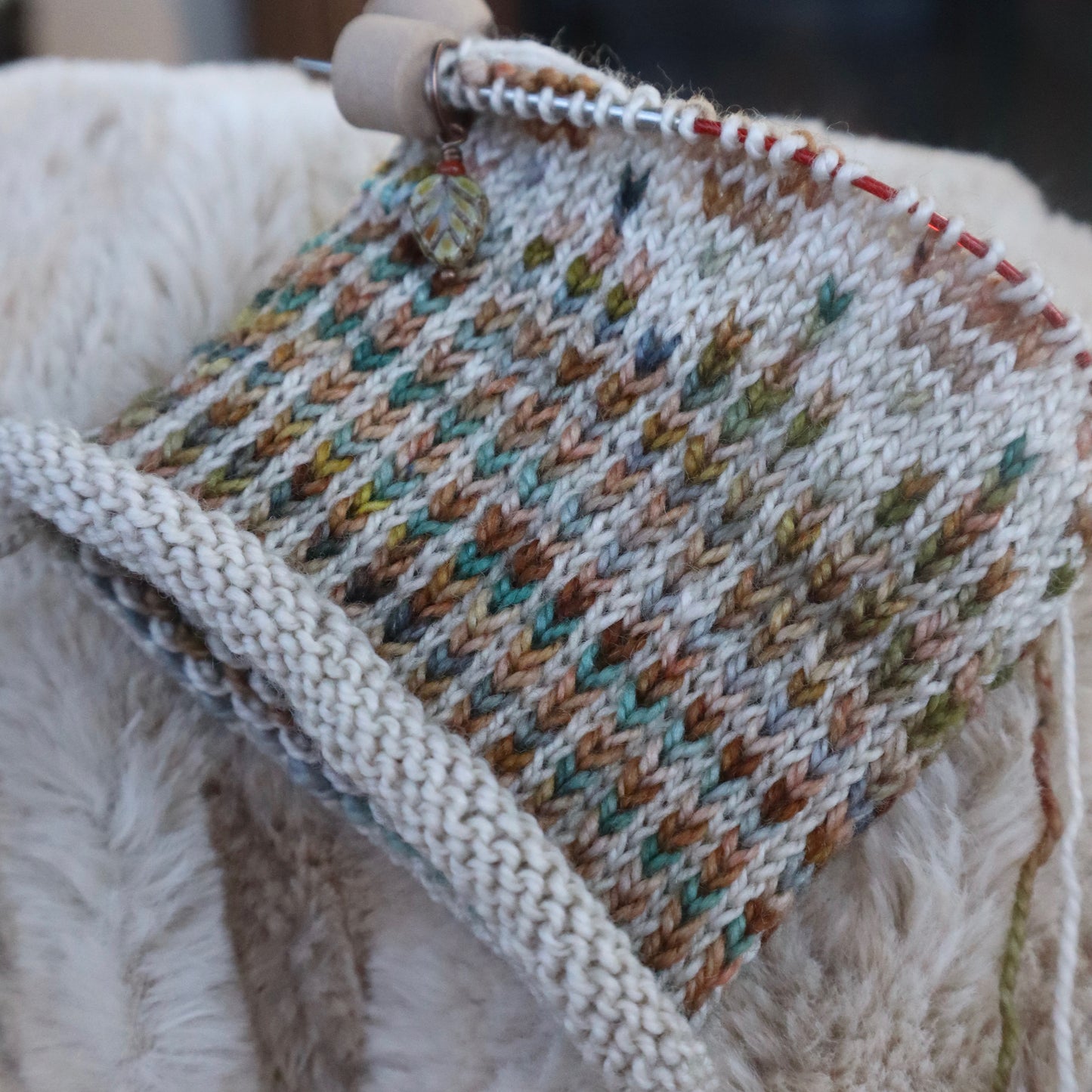 March Desert West Sock Set (Ready to Ship)