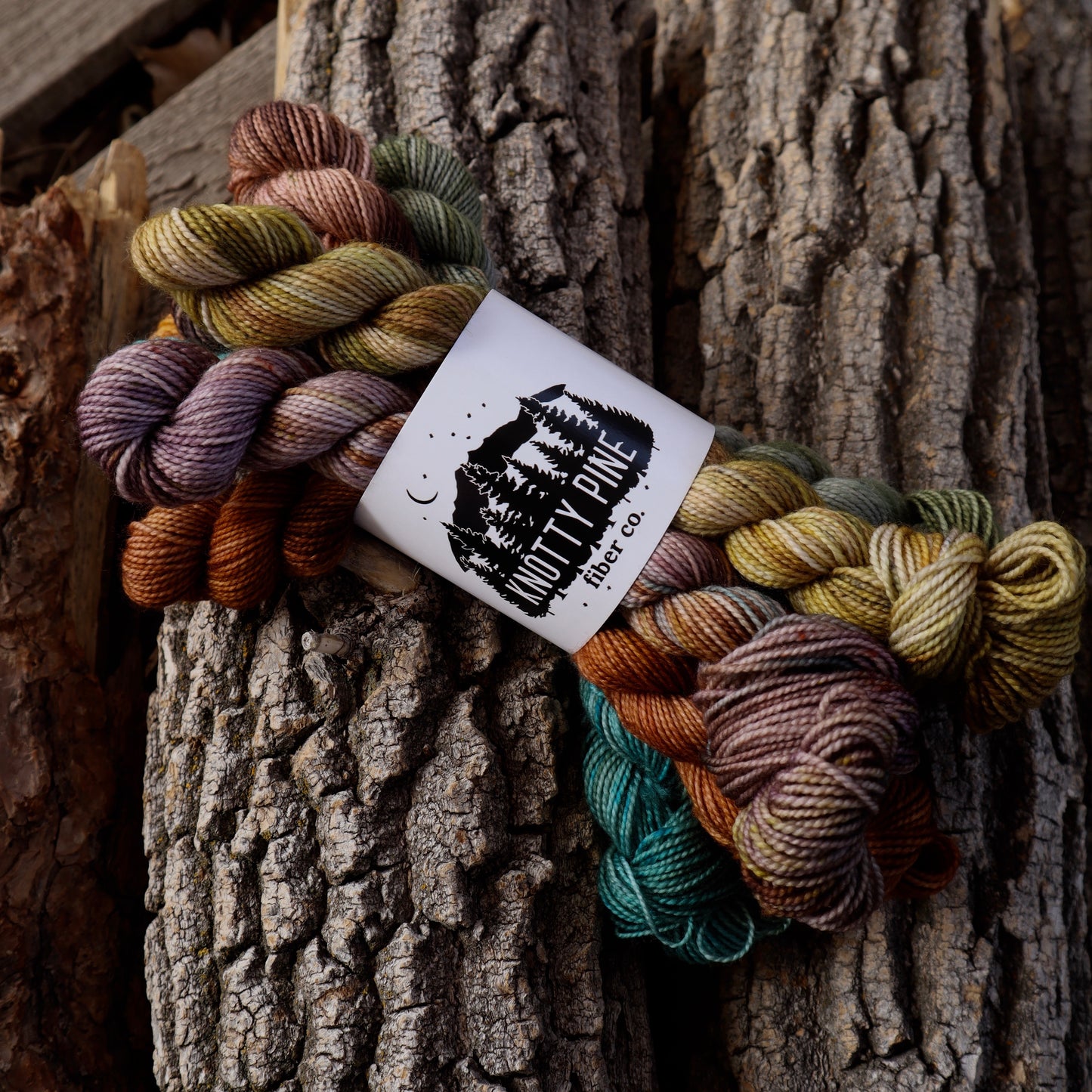 March Desert West Mini Skein Set (Desert West)