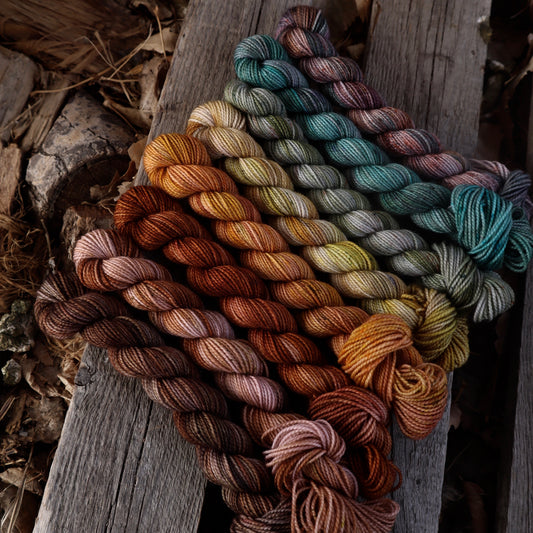 March Desert West Mini Skein Set (Desert West)