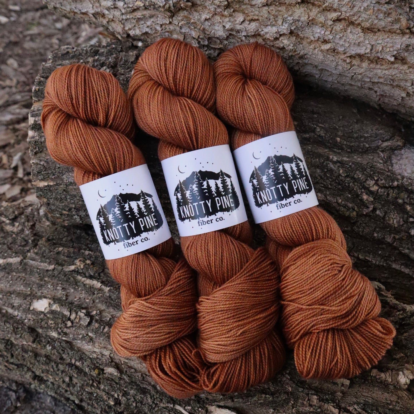 Spring Filly (Homestead) Ready to Ship