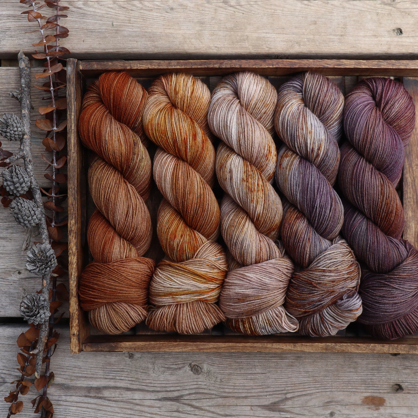 All The Pretty Horses Fade Kit (Boxelder Organic)