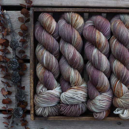 Elusive Hunter (Boxelder Organic DK)