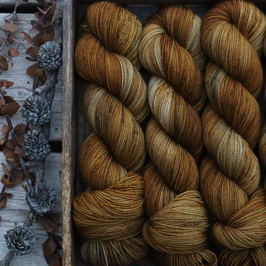 Fall is Brewing (Bighorn Sock)