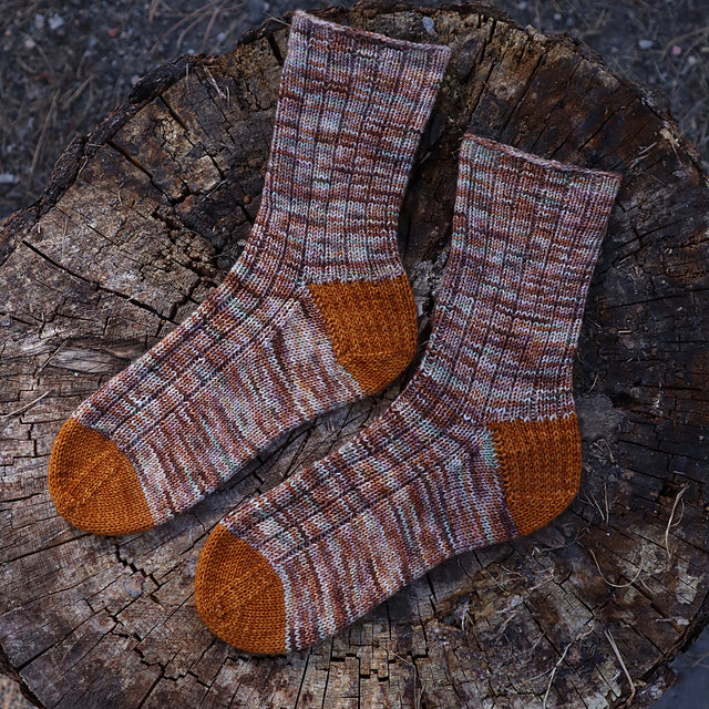 Heirloom Pumpkins Sock Set (Ready to Ship)