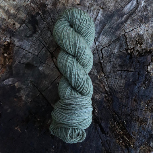 Sagebrush (Teton Range DK)