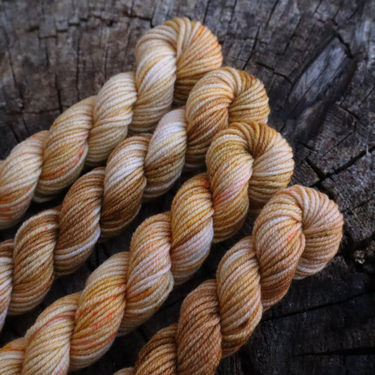 Pumpkin Seeds (Bighorn DK Mini)